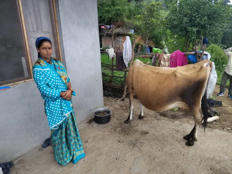 चम्पावत में ग्रामोत्थान परियोजना से डेयरी उद्यम शुरू कर जानकी देवी ने बढ़ाई आय